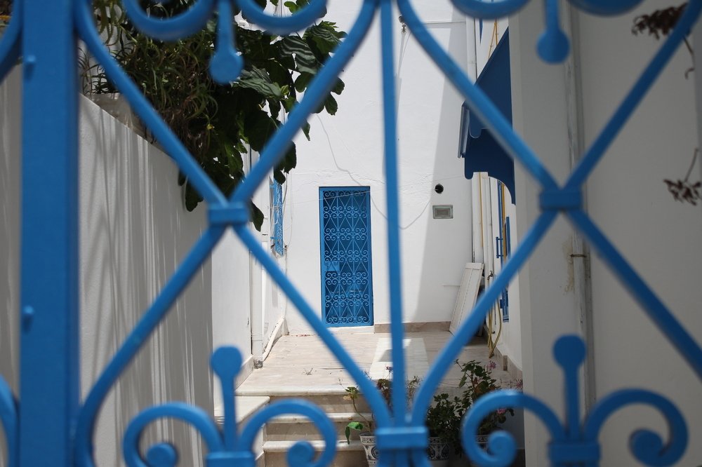 Photograph by Елена Копейкина