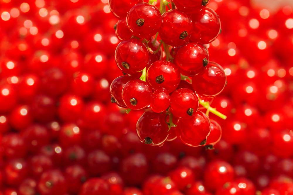 Photograph by Stranger Ksenia