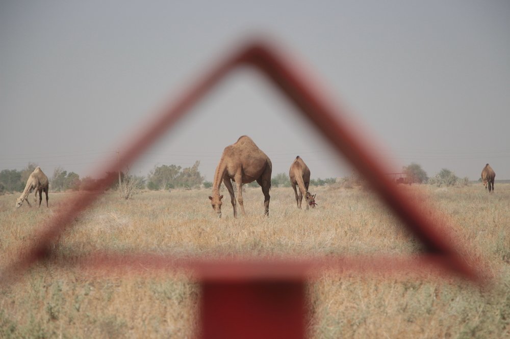 Photograph by Ghazal Abbasi