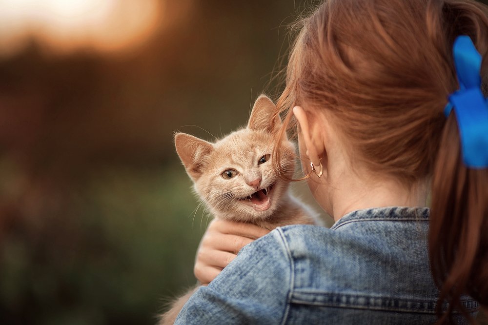 Photograph by Элина Гаманова