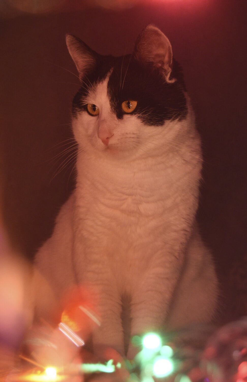 Масик новогодний