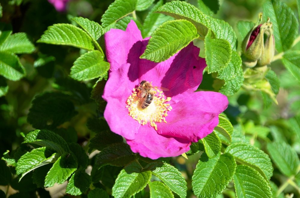 Photograph by Galina Baranovskaja