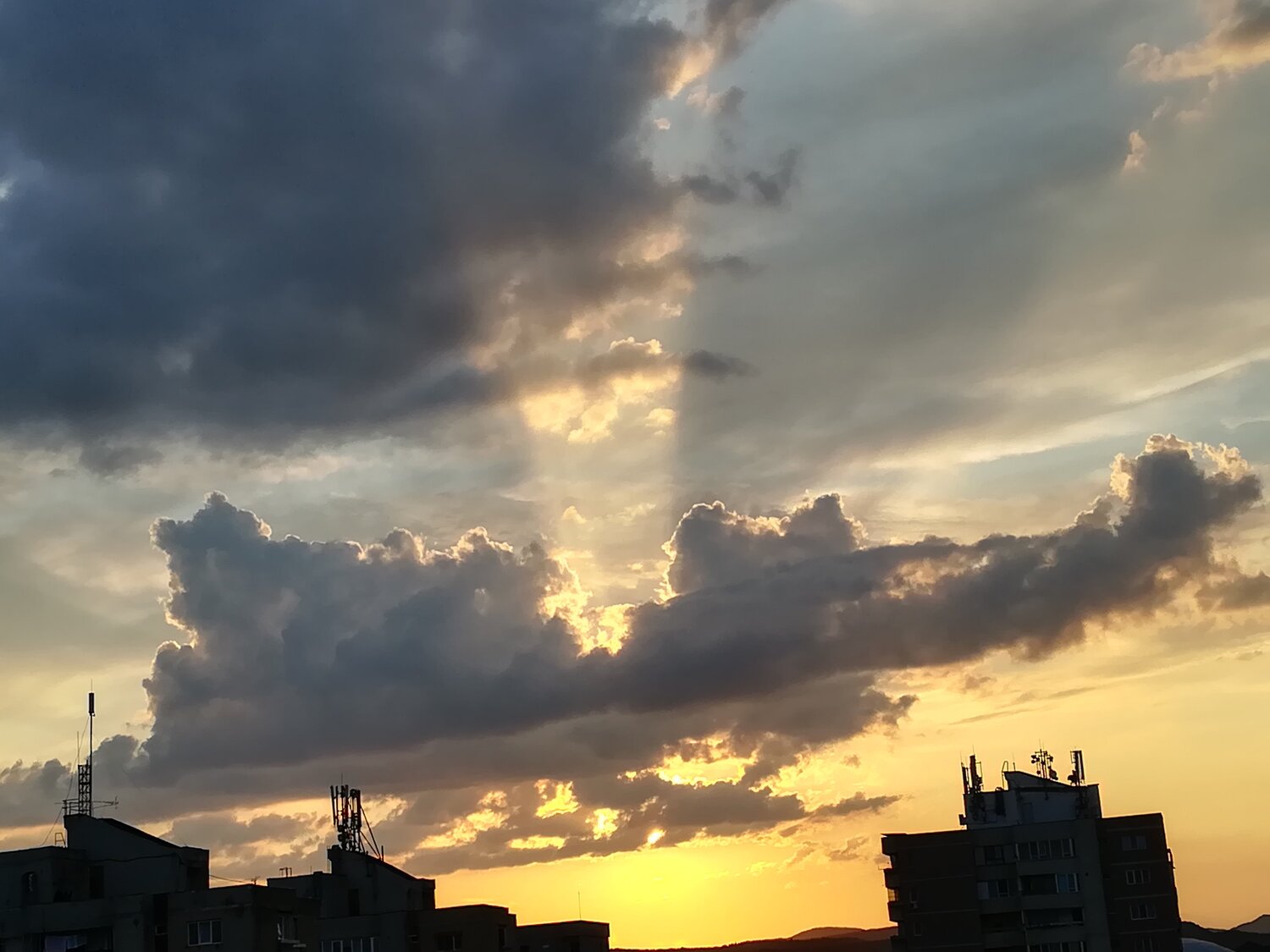 Photo #3604112