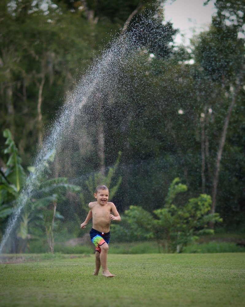 Photograph by Мирная Ксения