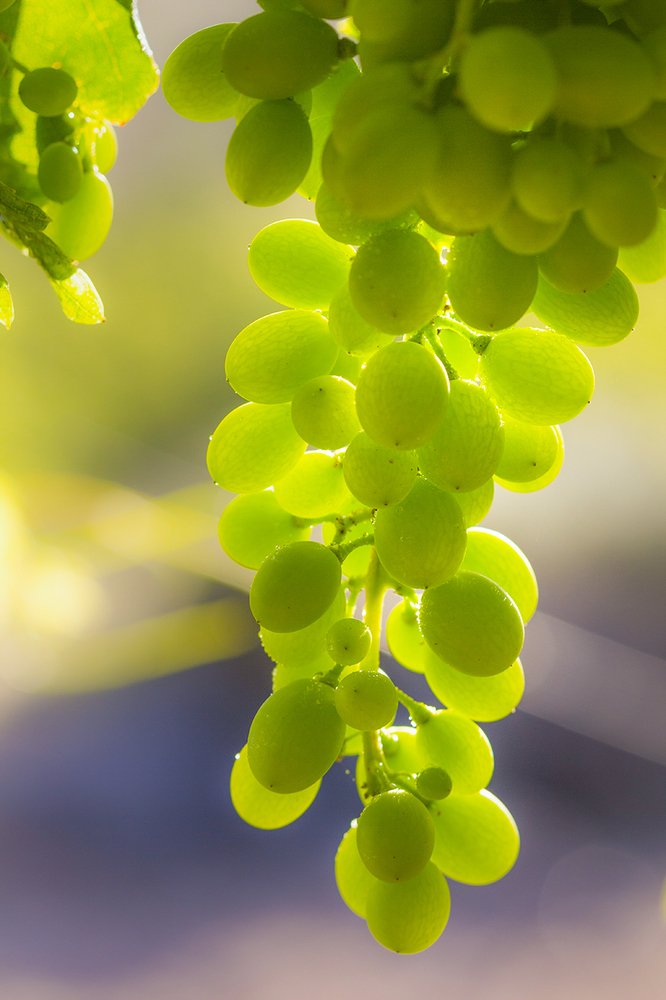 Фотография автора Nikolay Tatarchuk