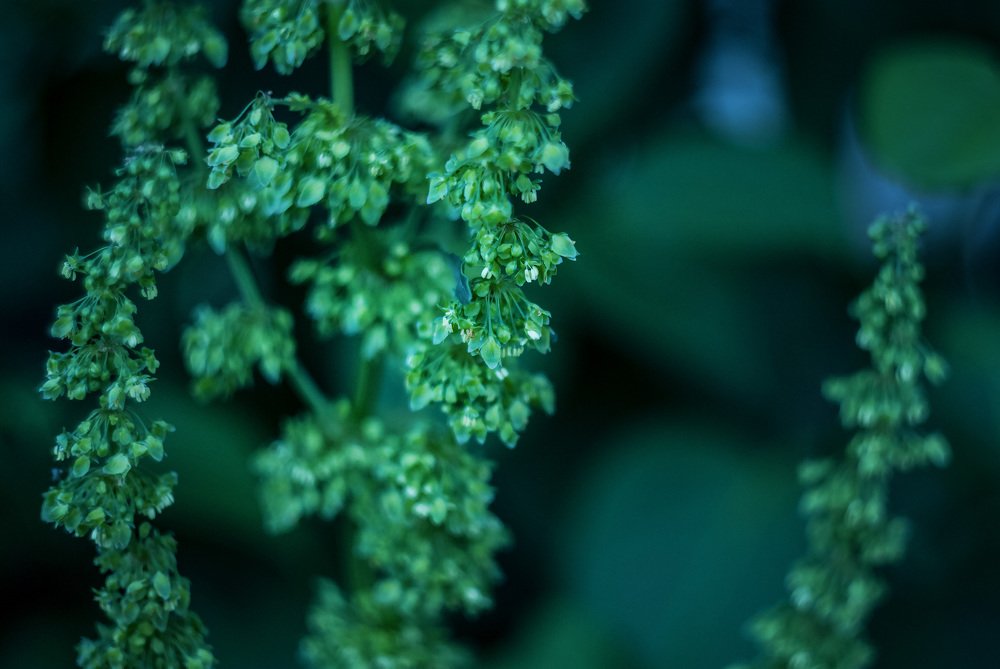 Photograph by Алёна Маркарян