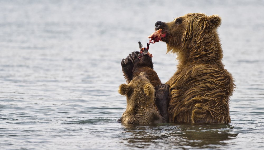 Фотография автора Paolo Barbarini