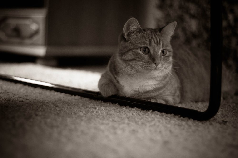 Photograph by Олег Красильников