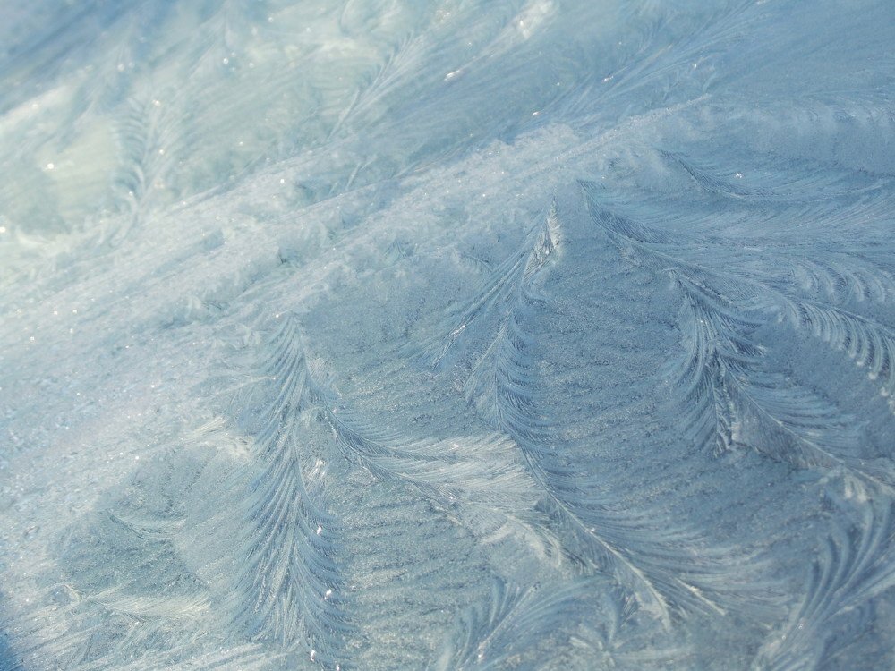 Photograph by Josée Beauchemin