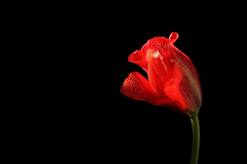 Фотография автора Nikolay Tatarchuk