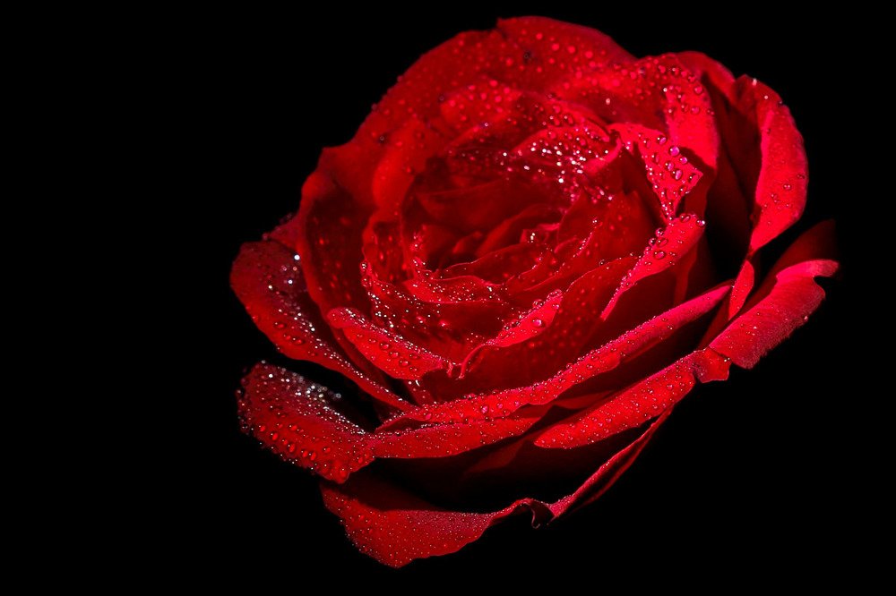 Фотография автора Nikolay Tatarchuk