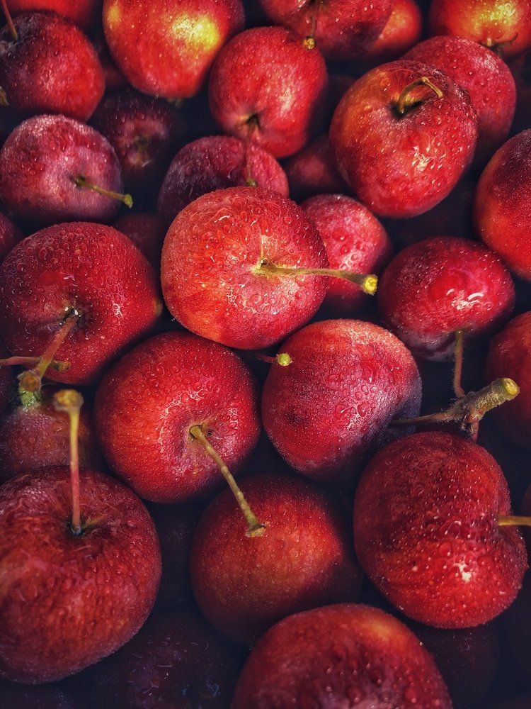 Photograph by Татьяна Лавренюк