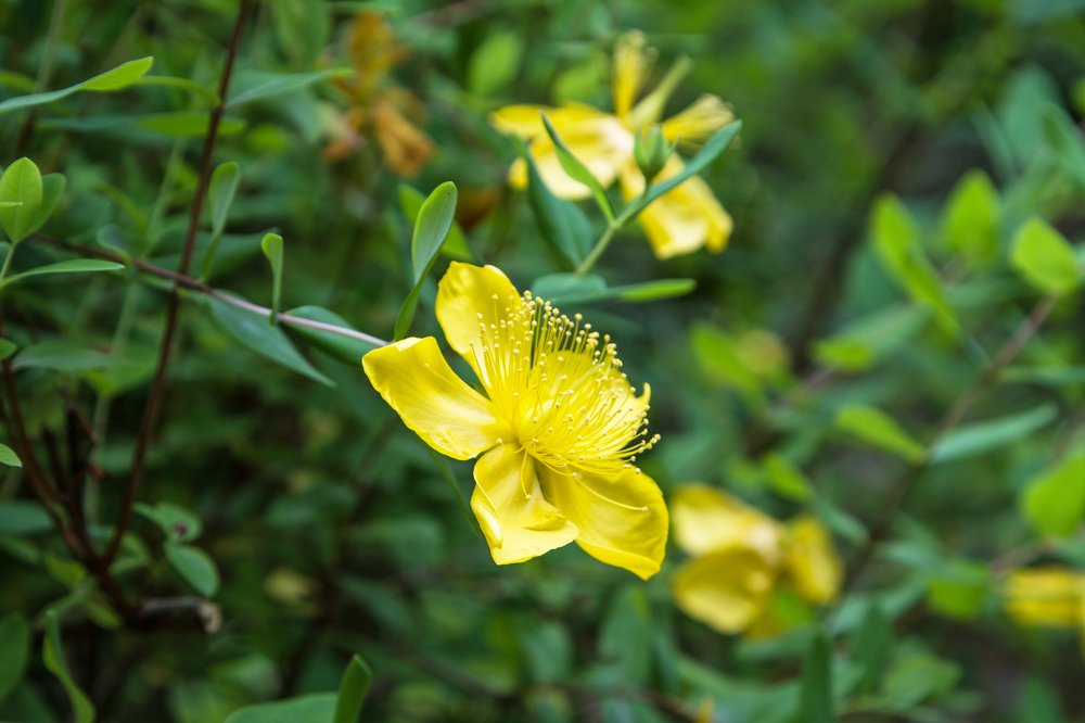 Photograph by Назим Оруджов