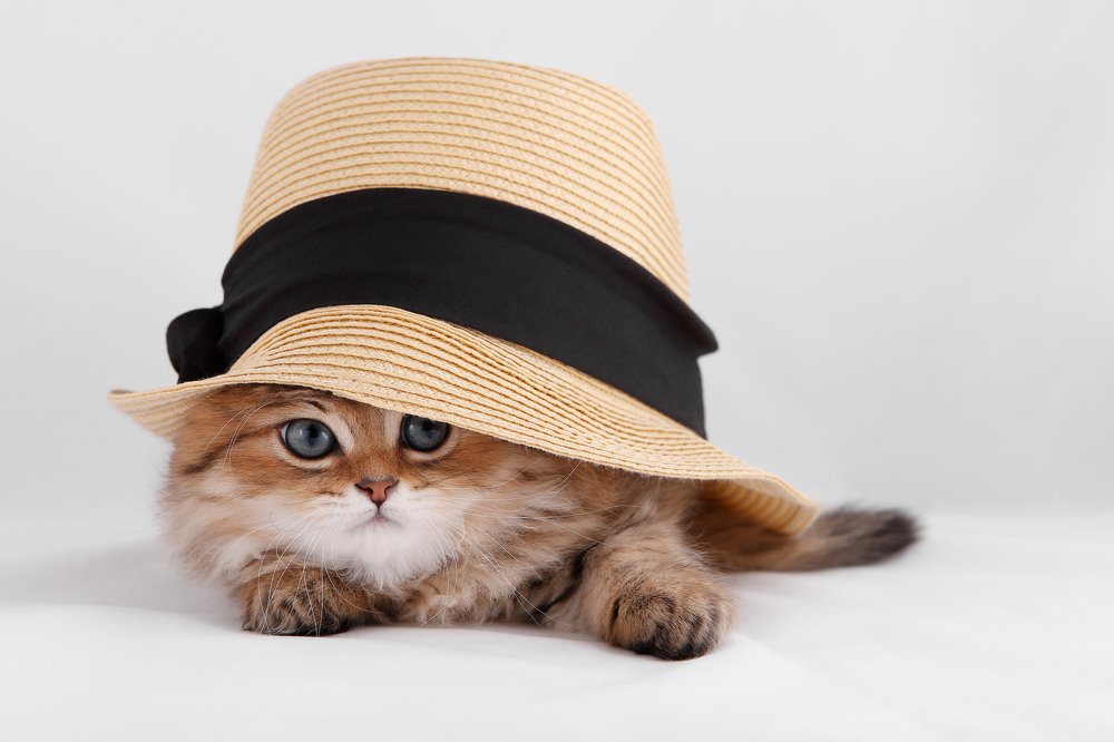 Photograph by Elena Guseva