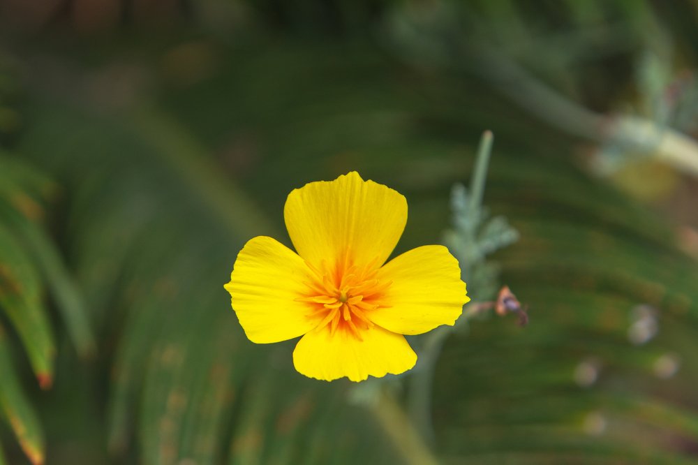 Photograph by Назим Оруджов