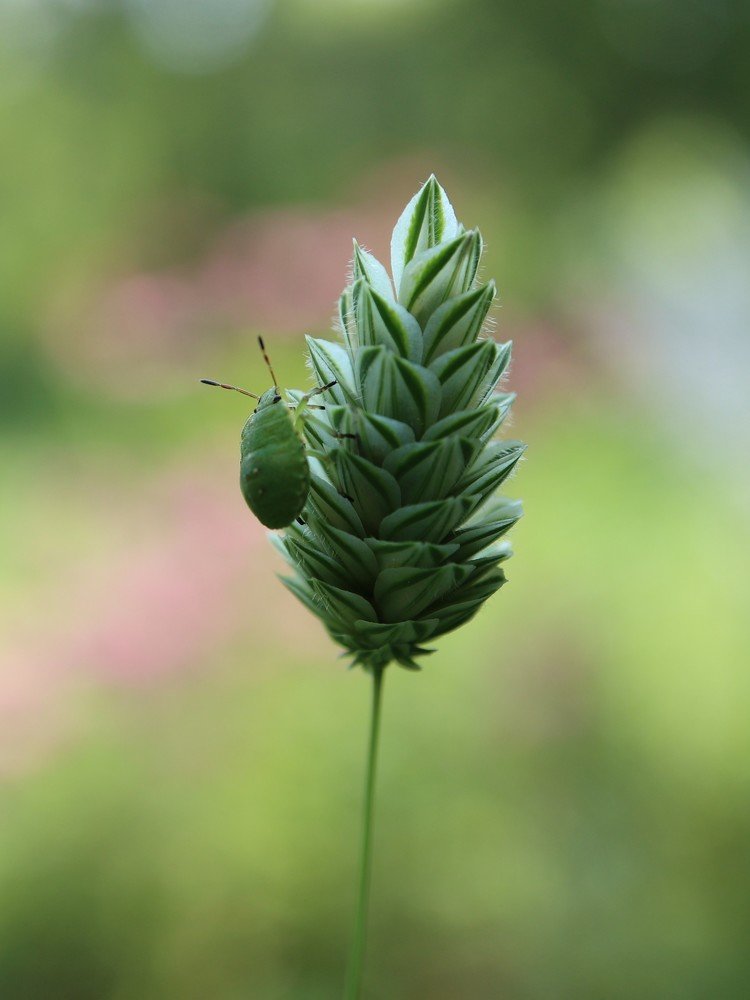 Photograph by Ирина Корабельникова