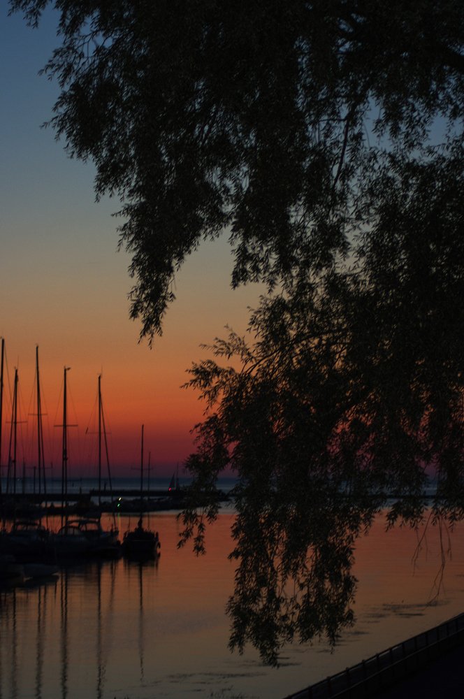 Photograph by Nadezda Sarap