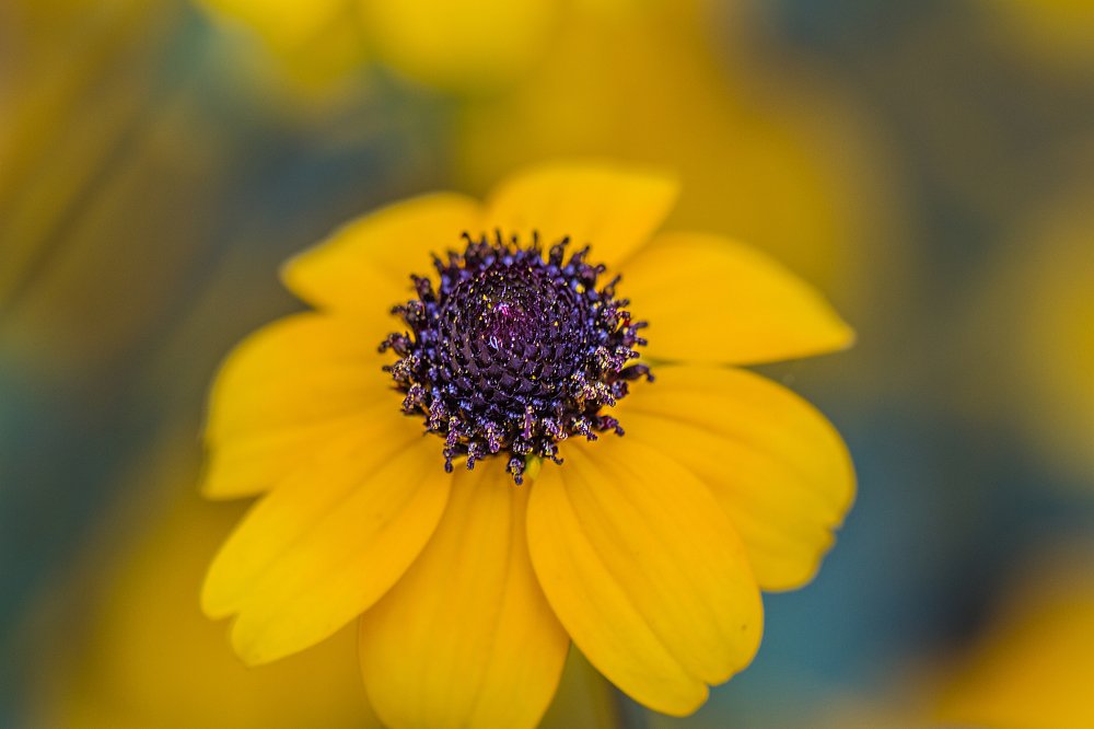 Photograph by Назим Оруджов