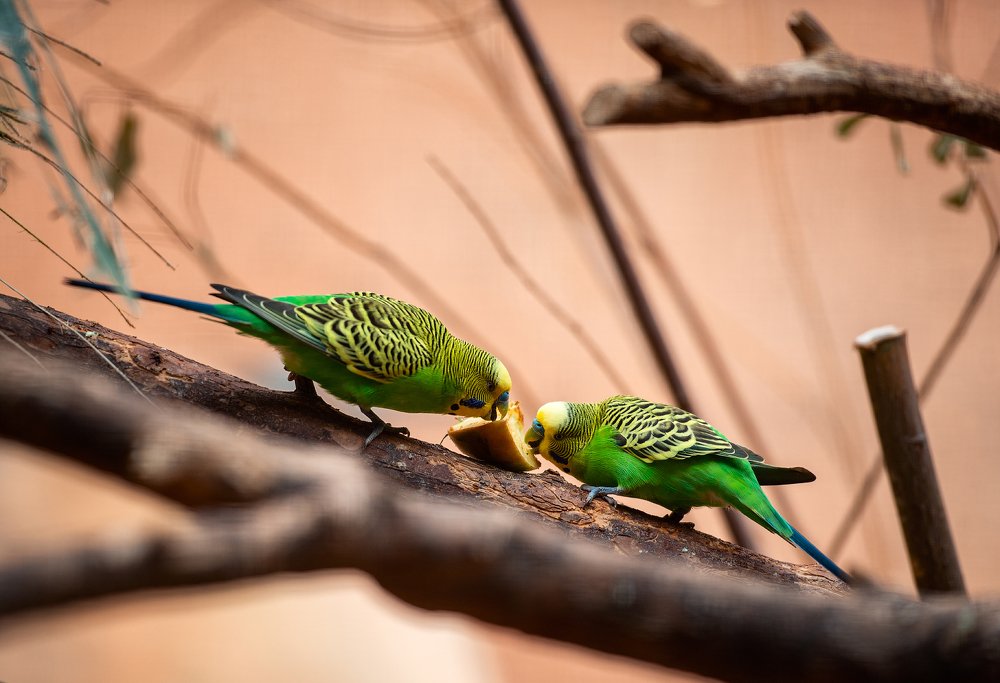 Photograph by Юлия Борт