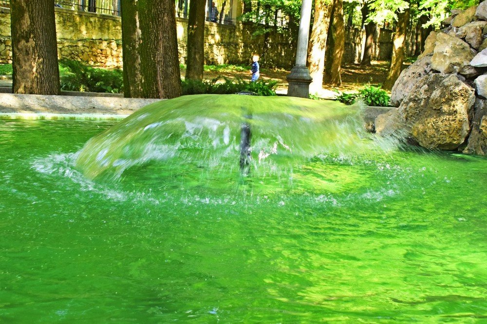 Photograph by Александр