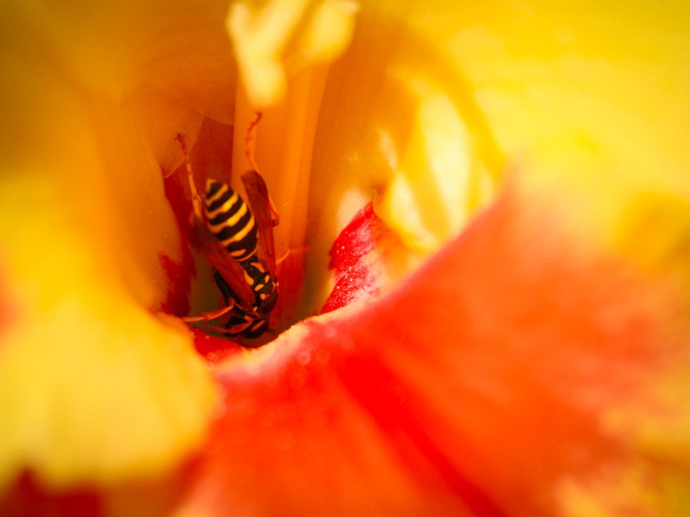 Photograph by Галина Литвинова