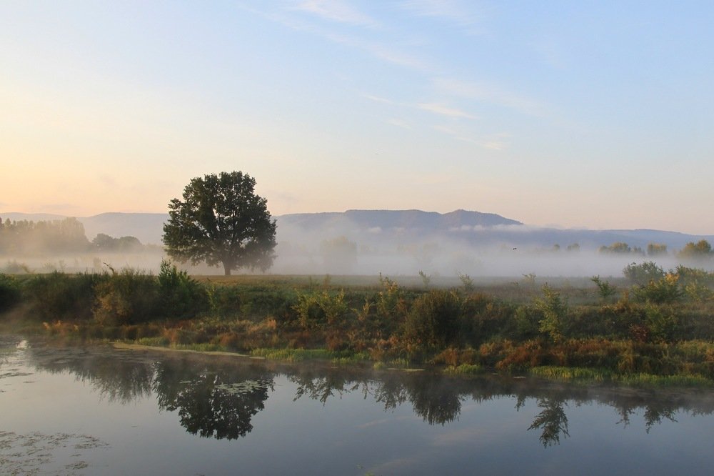 Утро,на Фёдоровских лугах