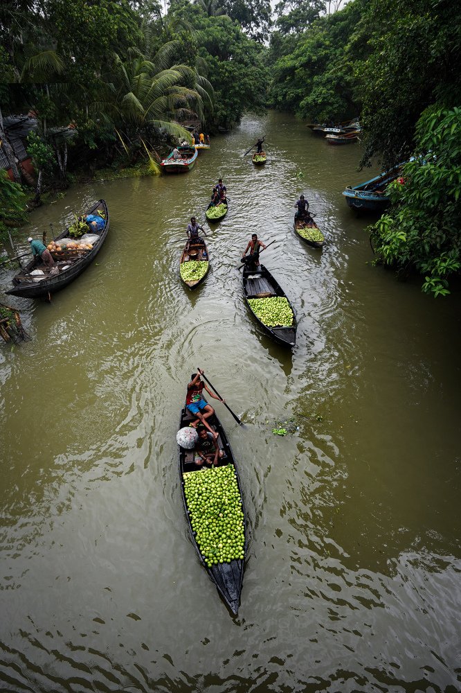 Photograph by  Pallab