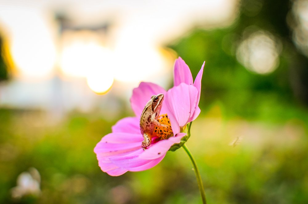 Photograph by Сергей Глухарев