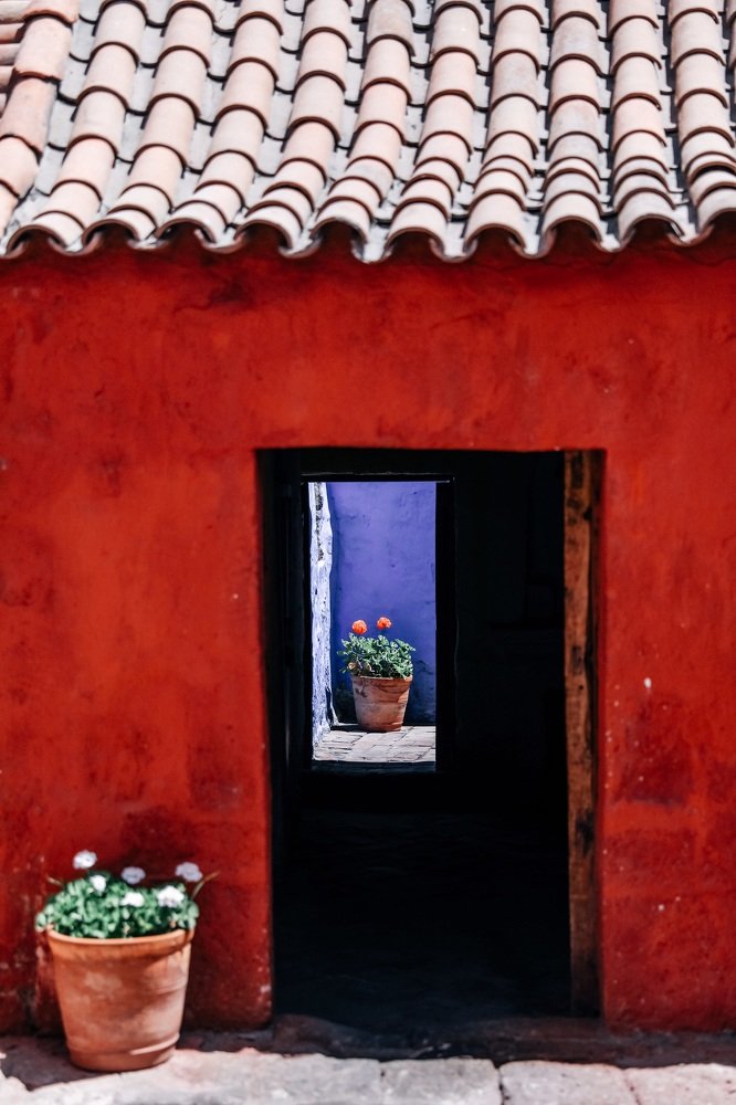 Photograph by Olga Thomas