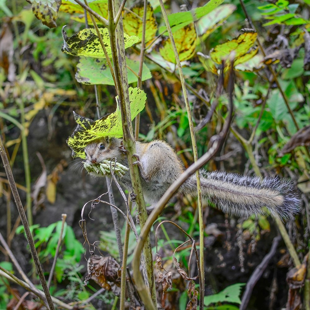 Photograph by Сергей Глухарев