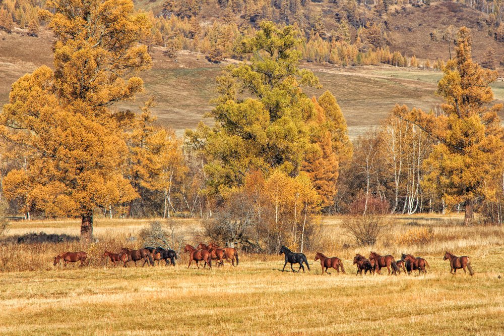 Осень на Алтае.