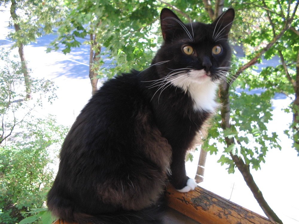 Photograph by Грацас Михаил