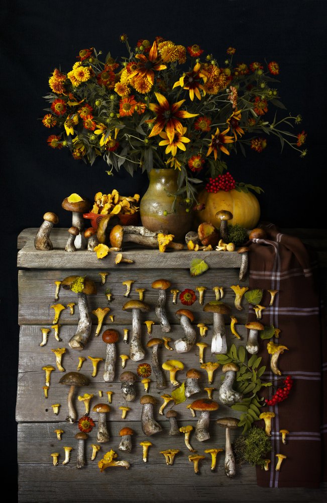 Август. Коллекция сезоны.