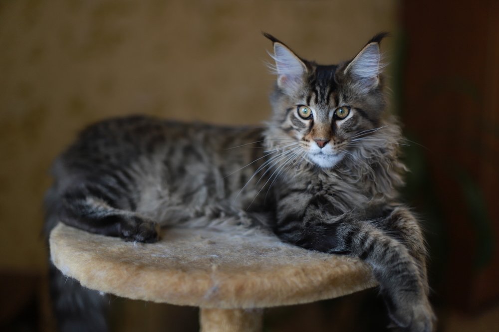 Photograph by Анастасия Петрушка