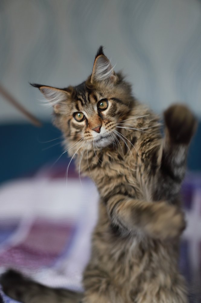 Photograph by Анастасия Петрушка