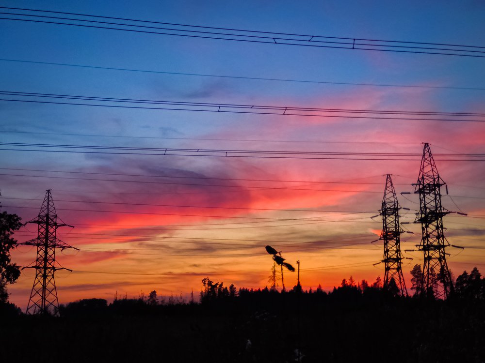 Фотография автора Алина Черняева