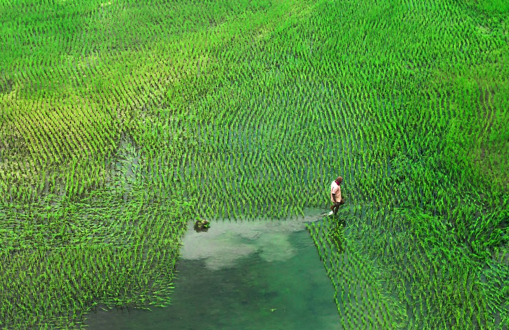 Photograph by Ehsanul Siddiq Aranya