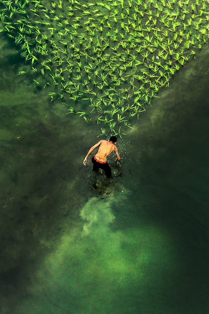 Photograph by Ehsanul Siddiq Aranya