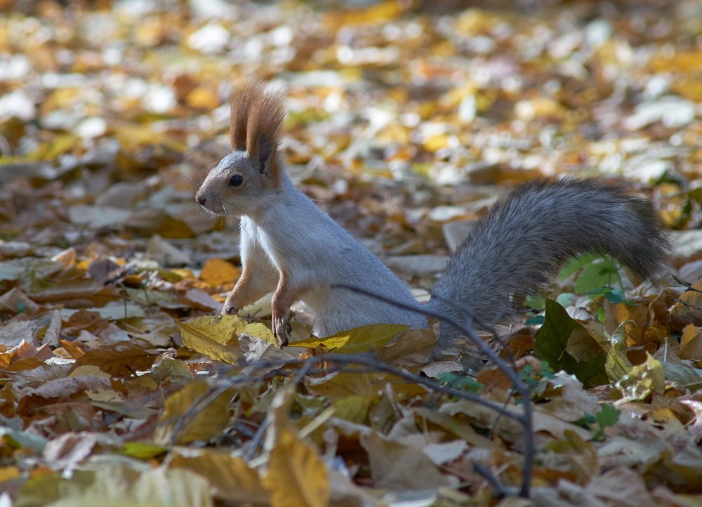 Photograph by Станислав Березкин
