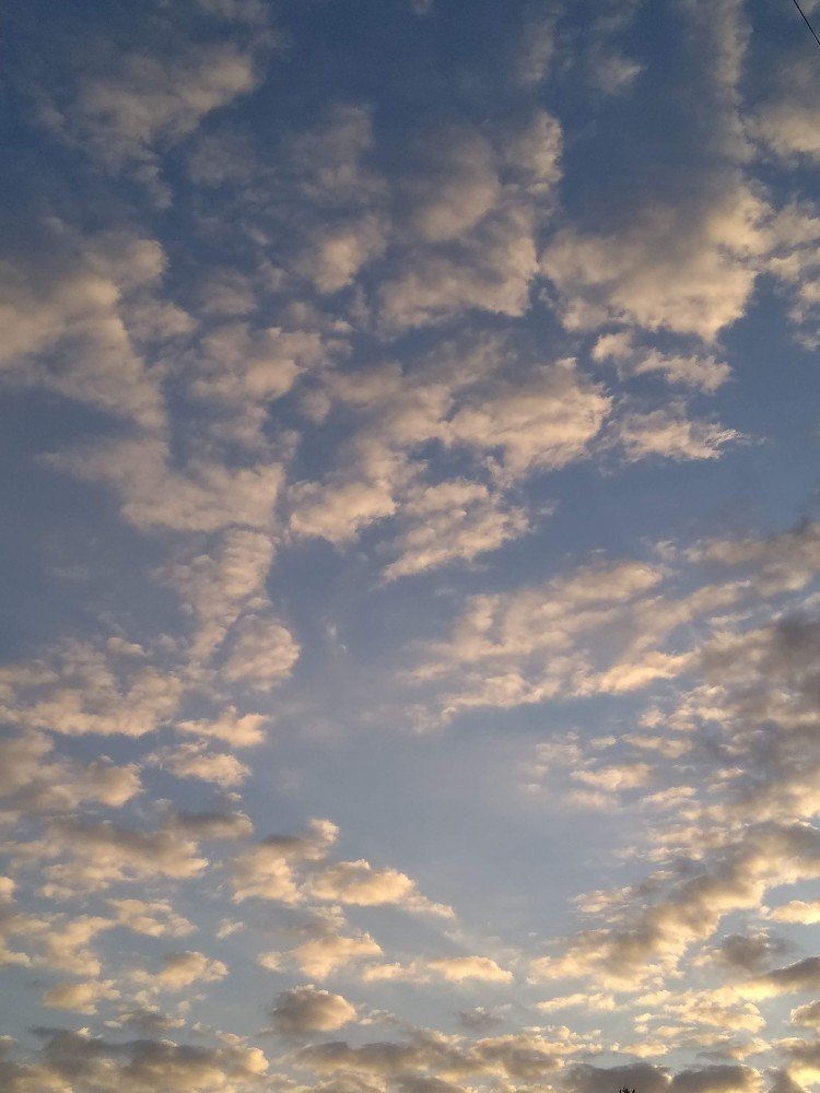 Photograph by Леся Дмітрук