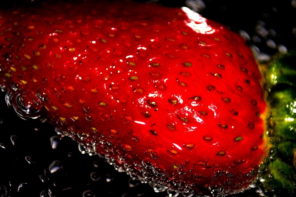 Фотография автора Yako Laverde