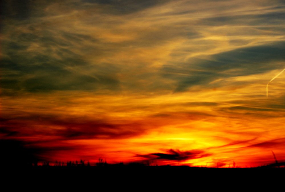 Photograph by Леся Дмітрук