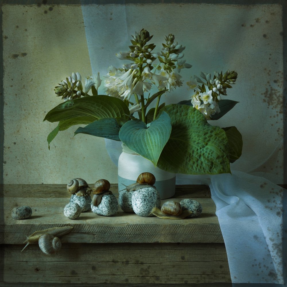 Тихая жизнь