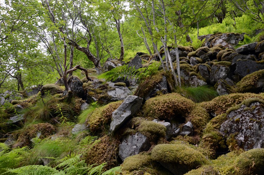 Photograph by Галья Щербина