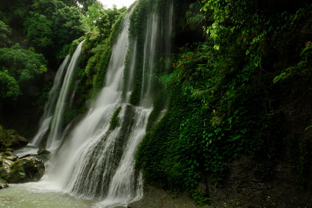 Photograph by Subrata Roy