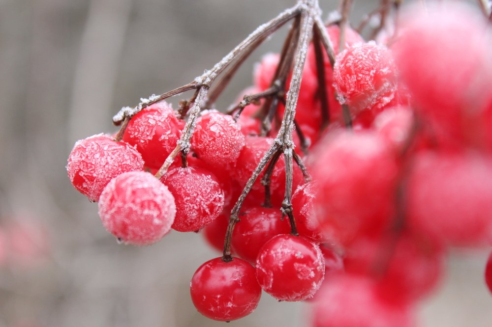 Photograph by Леся Дмітрук