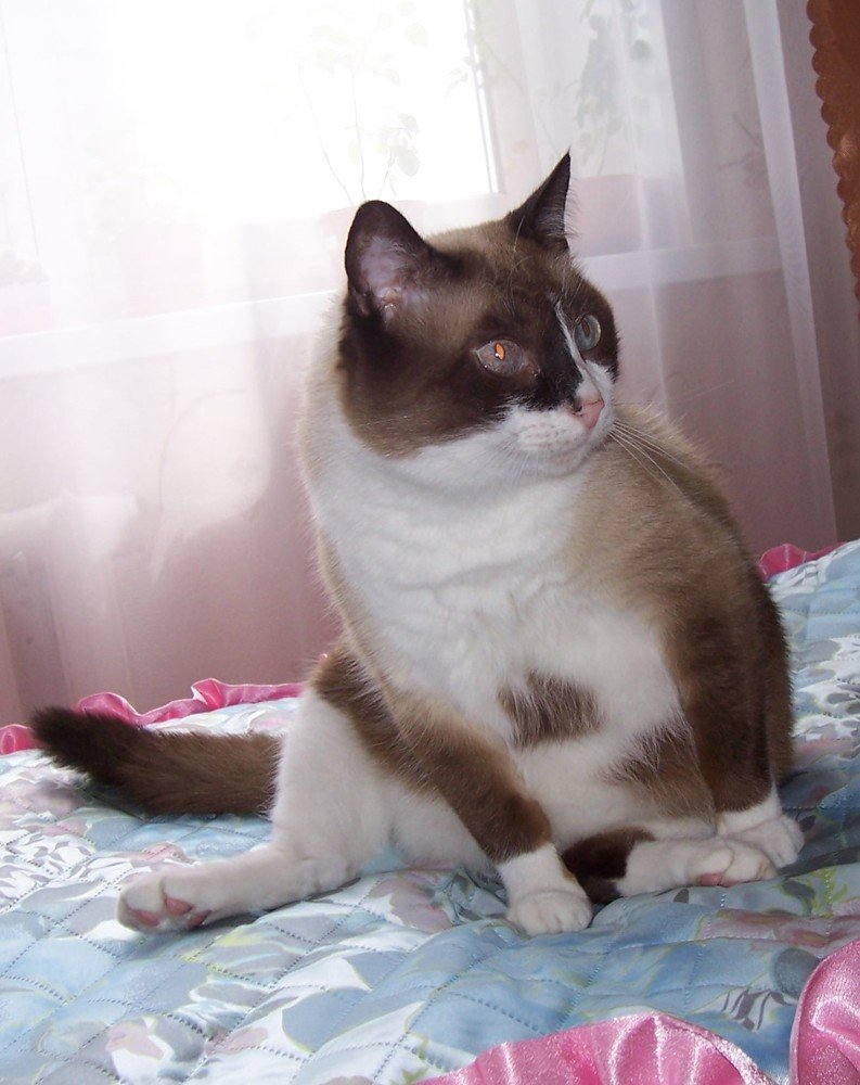 Photograph by Мария