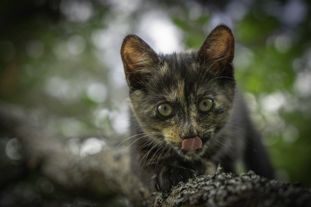 Photograph by Maksim Kozlov