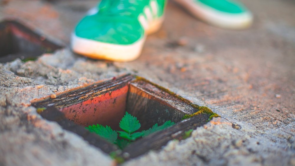 Photograph by Александр Фокин