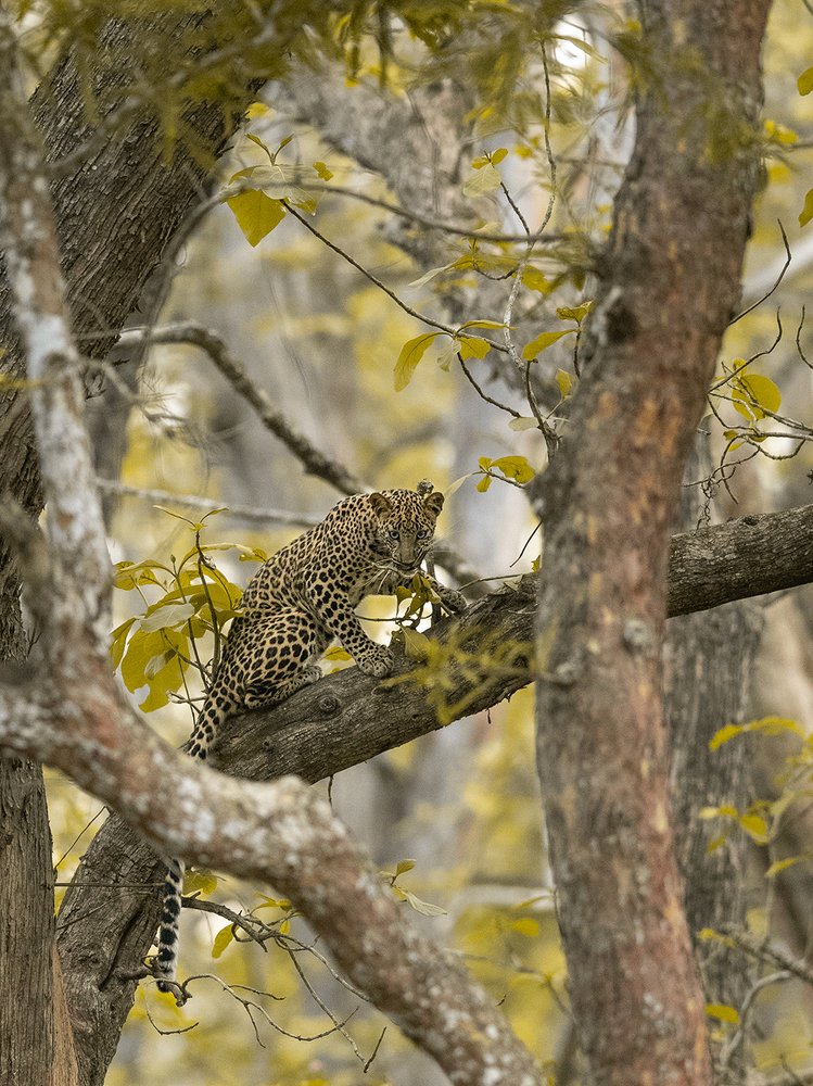 Photograph by Arvind Karthik